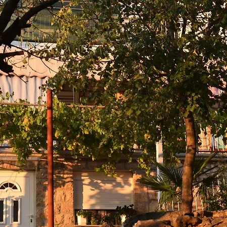Studio Starigrad 17865a Appartement *